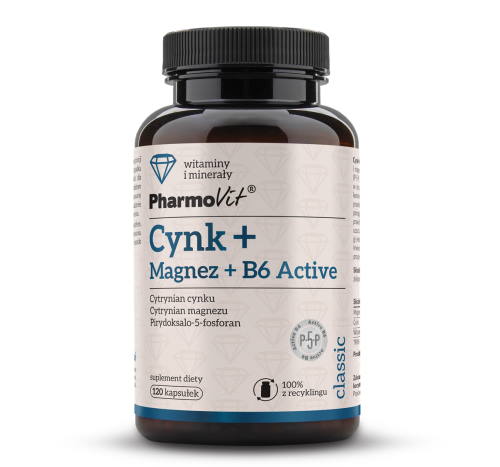Cynk + magnez + B6 active 120 kaps